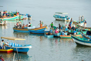 rolex-francois-schaer