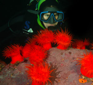 rae_2016_vreni_haussermann_0001_840x770