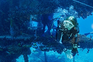 How Sylvia Earle fell in love with the ocean—and why she never stopped exploring