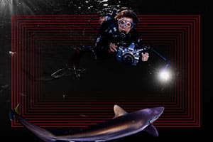 Dr Sylvia Earle on how science and storytelling can turn the tide for our blue planet