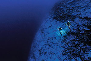 Rolex Celebrates the Oceans