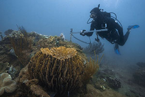 Style Edit: Rolex’s Perpetual Planet Initiative champions marine protection in Ningaloo Coast and Exmouth Gulf