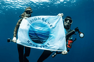 MPA Day by Numbers: Plans to Make the 2025 MPA Day the Biggest Celebration Yet