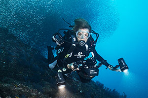 How To Save the Oceans, With Mission Blue Founder Sylvia Earle