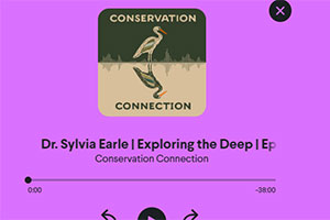 Dr Sylvia Earle on Conservation Connection