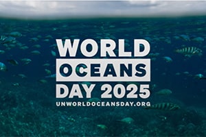 World Oceans Day: safeguarding the blue heart of our planet