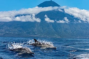 Azores declared Europe’s largest Marine Protected Area