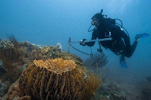 Rolex Is on a Mission to Protect Our Pale Blue Dot