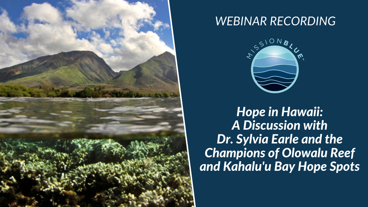 Hope in Hawaii Webinar: A Discussion with Dr. Sylvia Earle & Champions of the Kahalu’u Bay & Olowalu Reef Hope Spots
