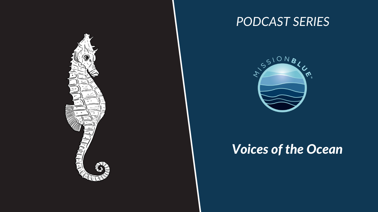 Voices of the Ocean Podcast