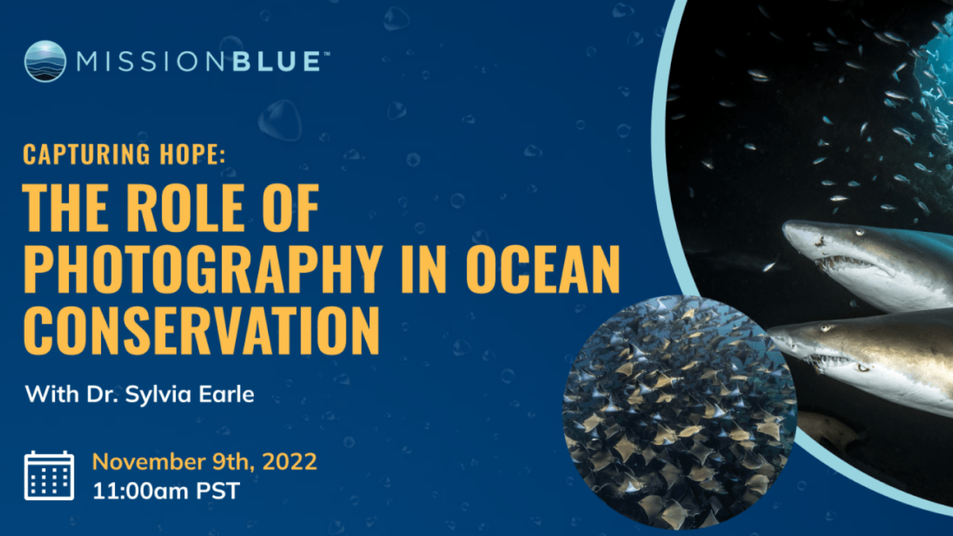 https://missionblue.org/wp-content/uploads/2022/11/Pre-Roll-Photography-Webinar-Mission-Blue-1.png