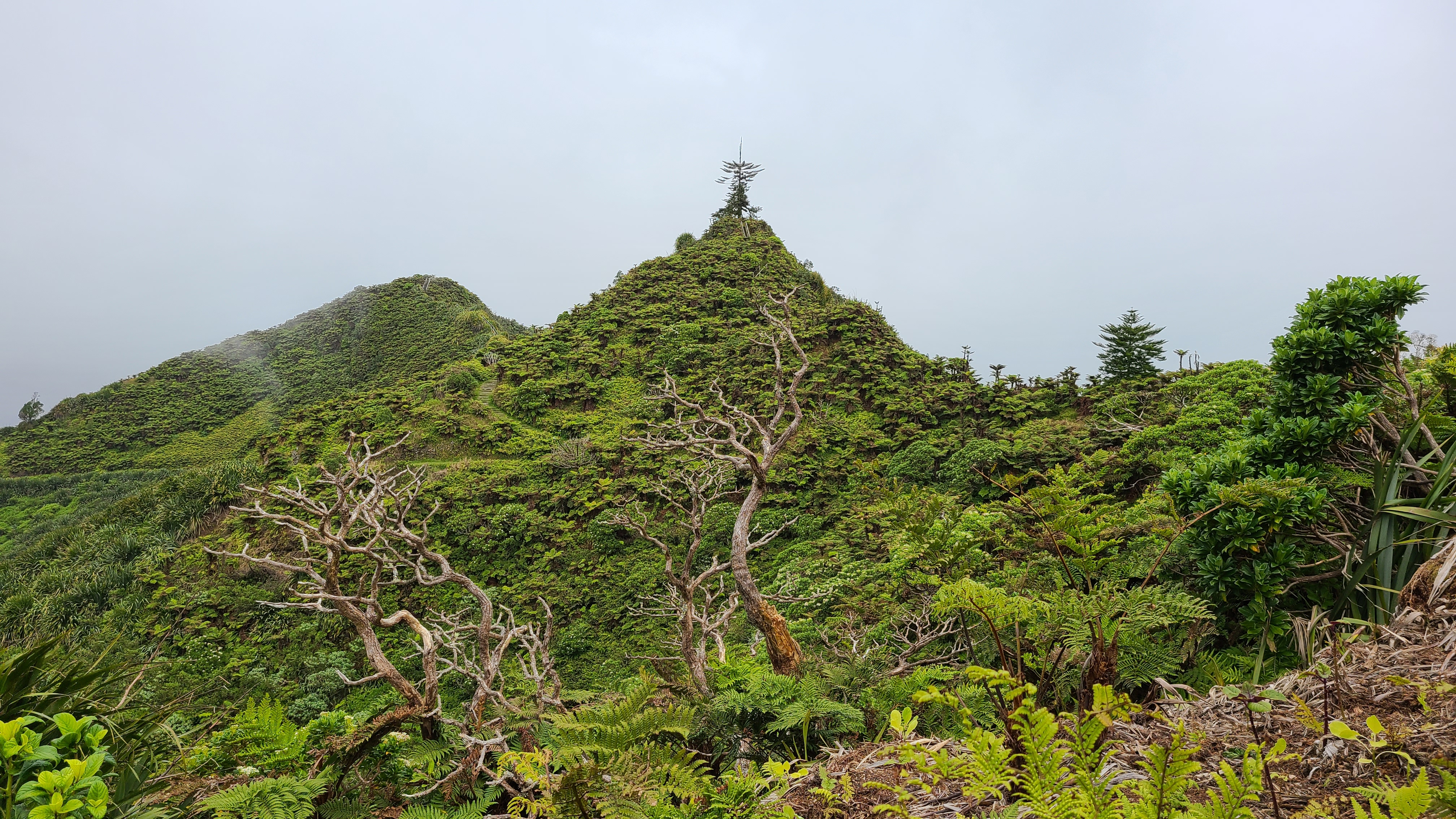 Diana's Peak, St Helena Island. Photo by Michelle Fletcher