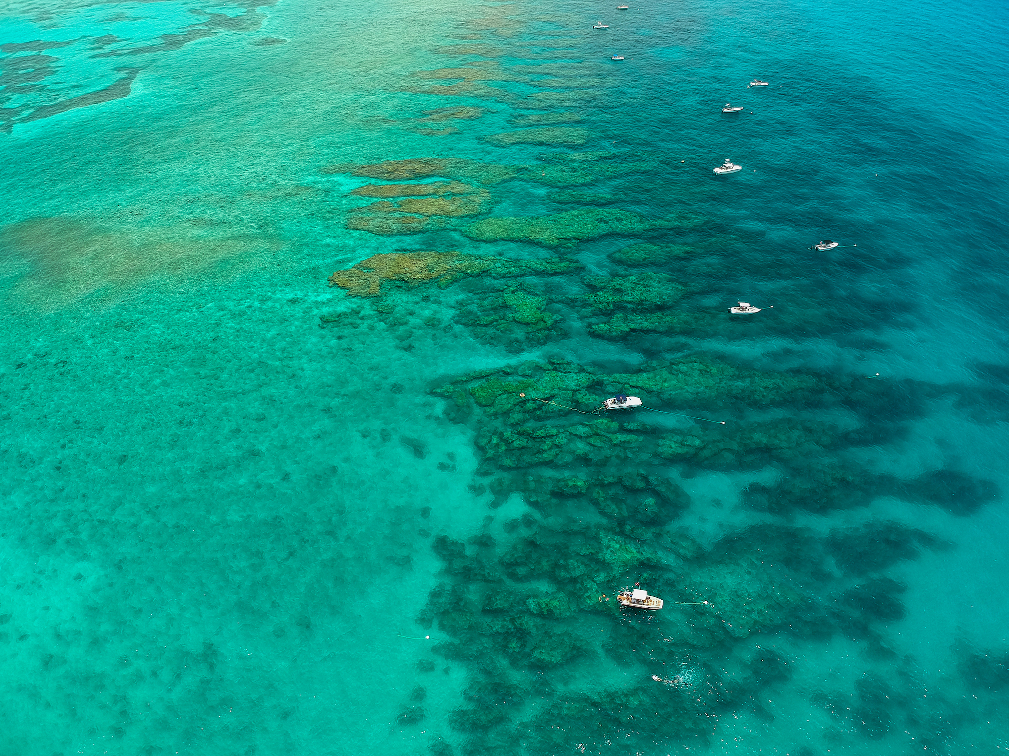 An aerial view of shallow turquoise waters with scattered coral reef visible through the water and nine small boats anchored to moorings.