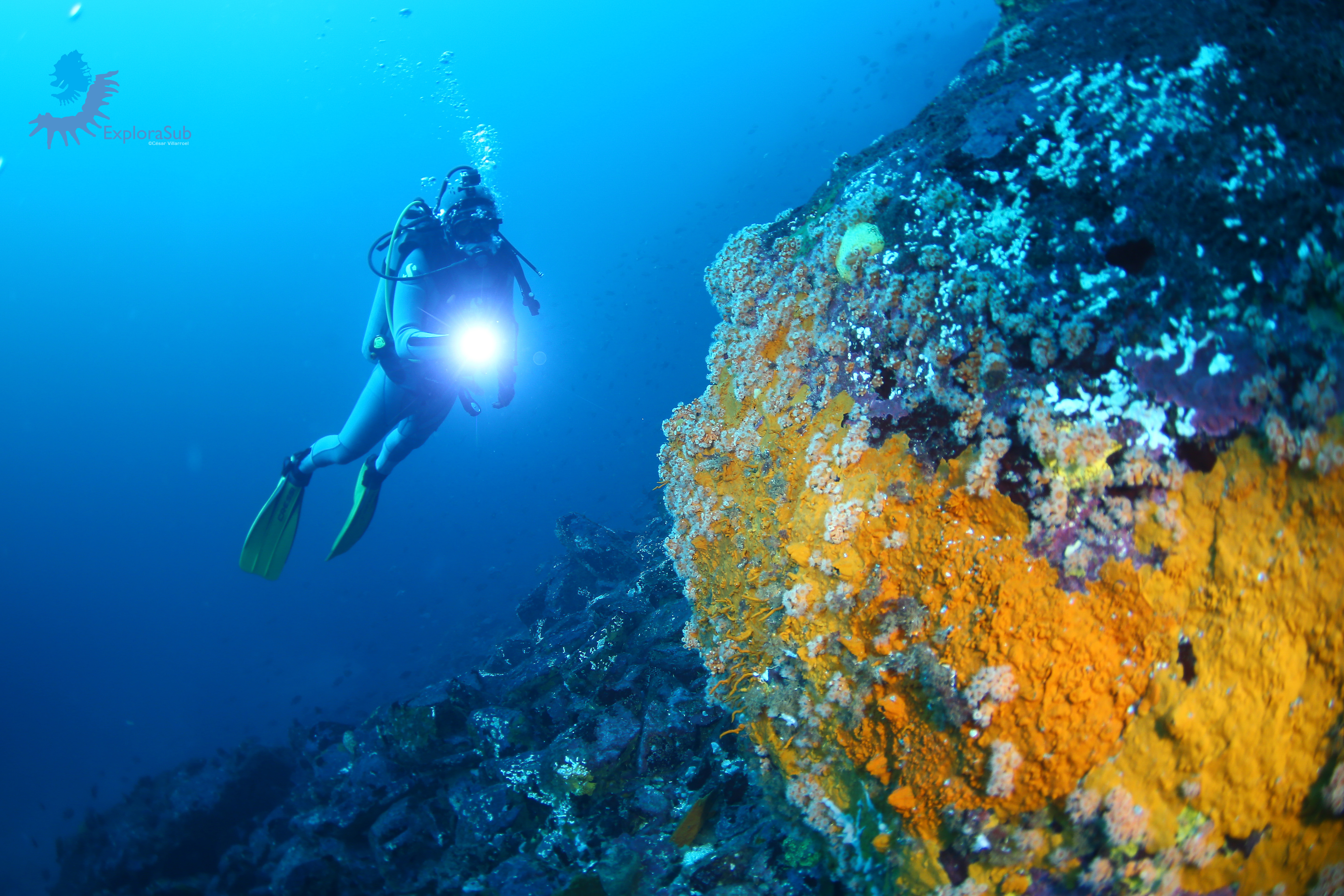 A diver with yellow fins and a scuba suit swims underwater, shining a light on a vibrant coral reef. The reef displays a mix of orange, yellow, and purple corals. The surrounding water is a deep blue, and bubbles rise from the diver's equipment.